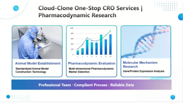 Cloud-Clone refuerza sus servicios CRO para impulsar el desarrollo preclínico de terapias frente a enfermedades cerebrales