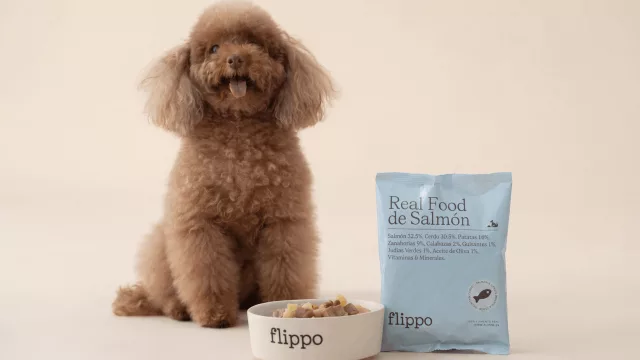 La empresa española que quiere que cada perro siga con su dueño dentro de diez años