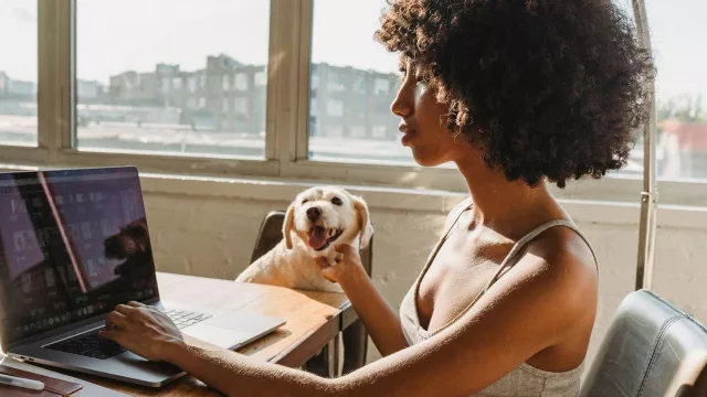 Barcelona se sitúa entre las diez mejores ciudades del mundo para nómadas digitales con mascota